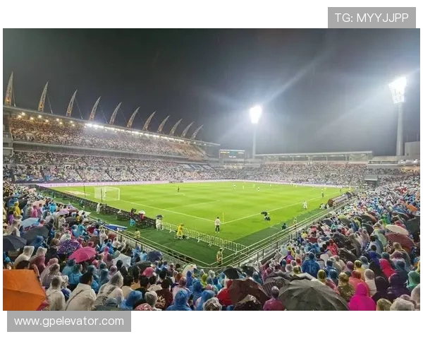 足球主场观赛体验持续提升，球迷氛围与赛事热度同步增强