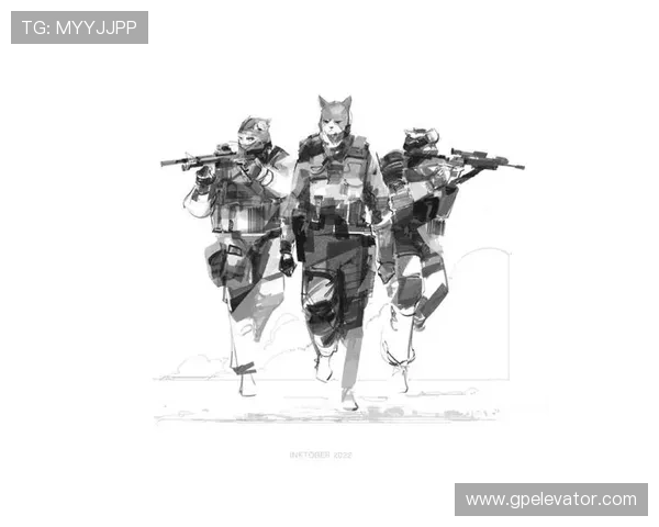 亨德森战术适配性