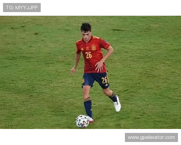 佩德里哈维时代回忆