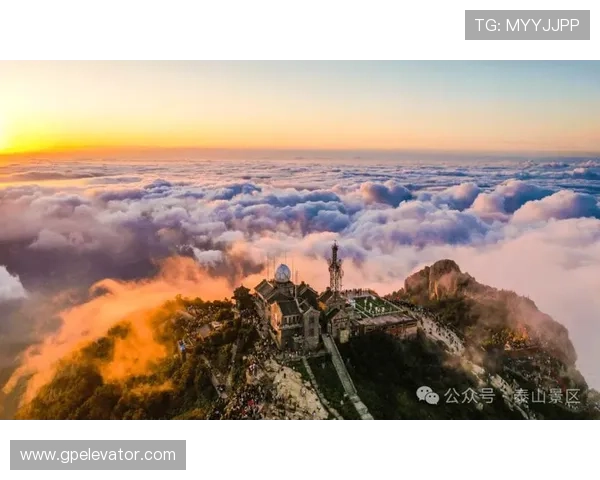 山东泰山，重返巅峰之路：近期状态恢复与赛季走势展望